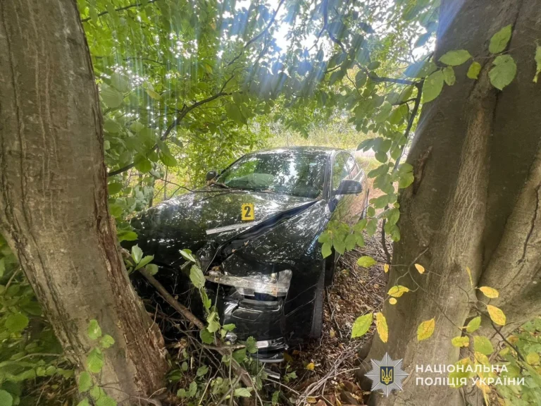 Водійка не впоралася з керуванням при обгоні вантажівки: у ДТП травмувалося 3 дітей, у тому числі немовля