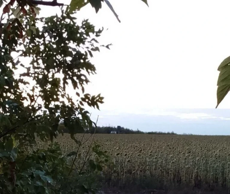 Українські Національні Новини (УНН)