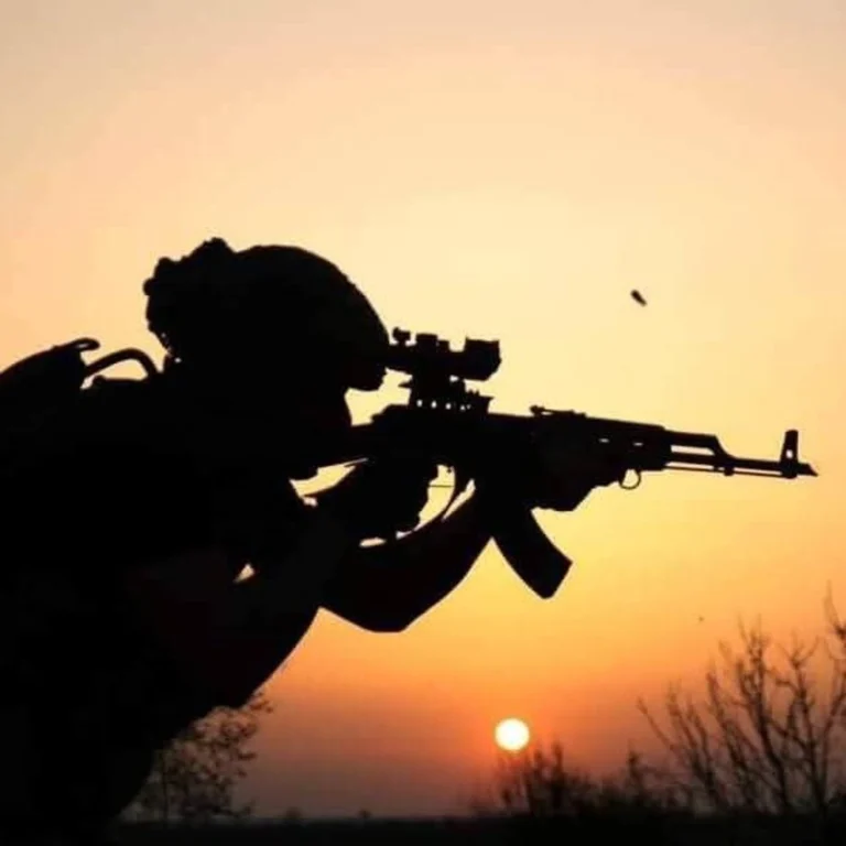 Українські Національні Новини (УНН)