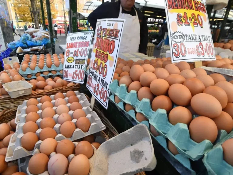 Україна домінує на ринку курячих яєць Великої Британії, викликаючи обурення місцевих фермерів - The Guardian
