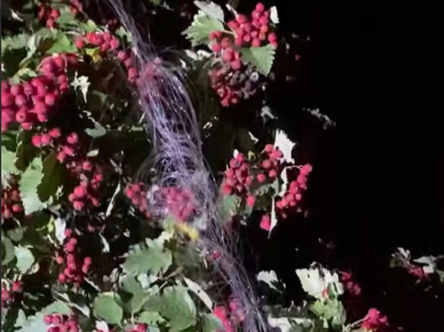 Краматорськ зазнав першої атаки російським дроном на оптоволокні