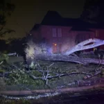 Негода охопила США: торнадо під Х’юстоном, зливи на Півдні та сніг у Середньому Заході