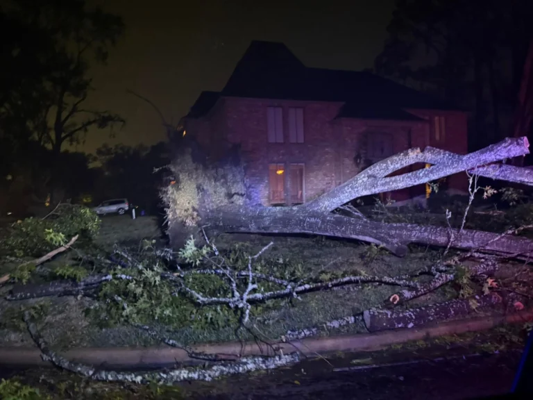 Українські Національні Новини (УНН)