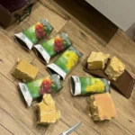 СБУ викрила агентурну мережу рф, яка готувала схрони з комплектуючими до вибухівки на заході України