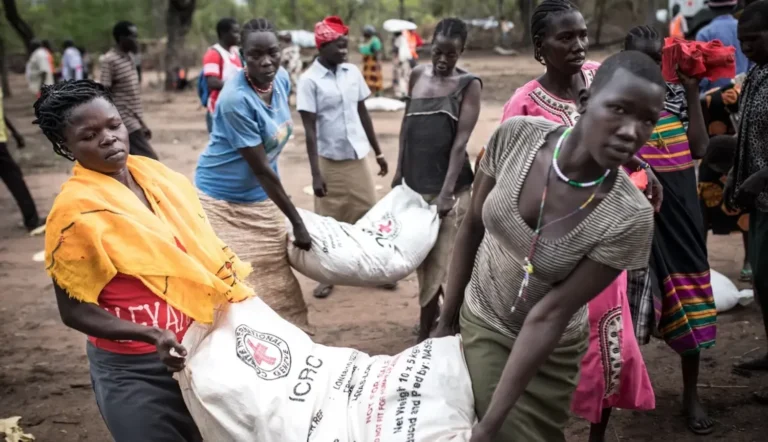 Українські Національні Новини (УНН)
