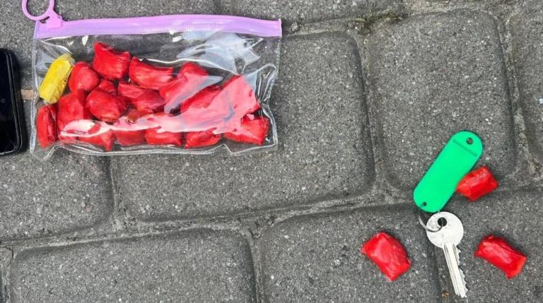 Українські Національні Новини (УНН)