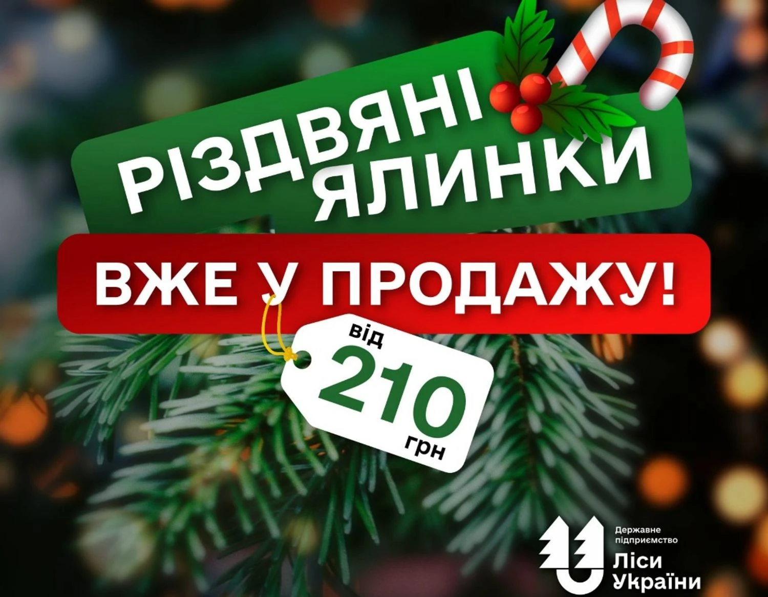 Українські Національні Новини (УНН)