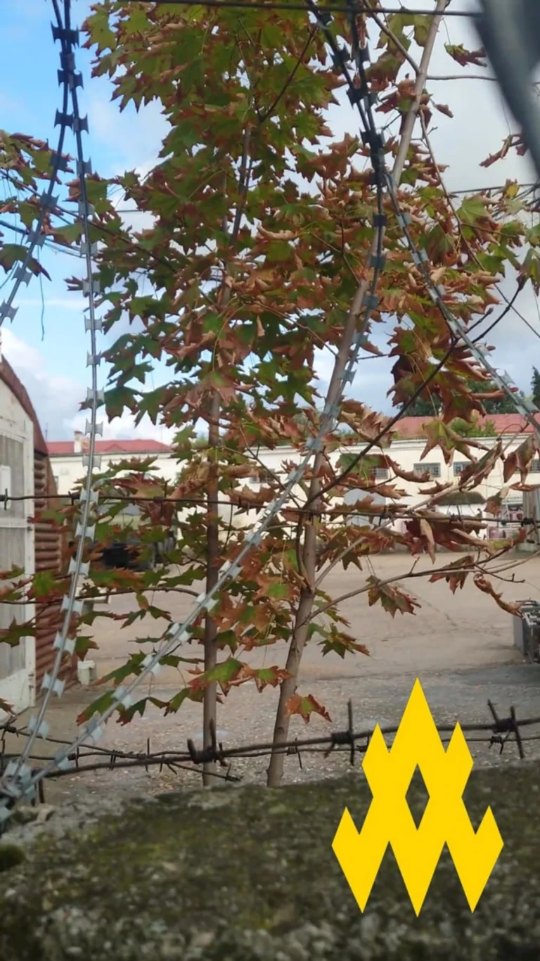 Українські Національні Новини (УНН)