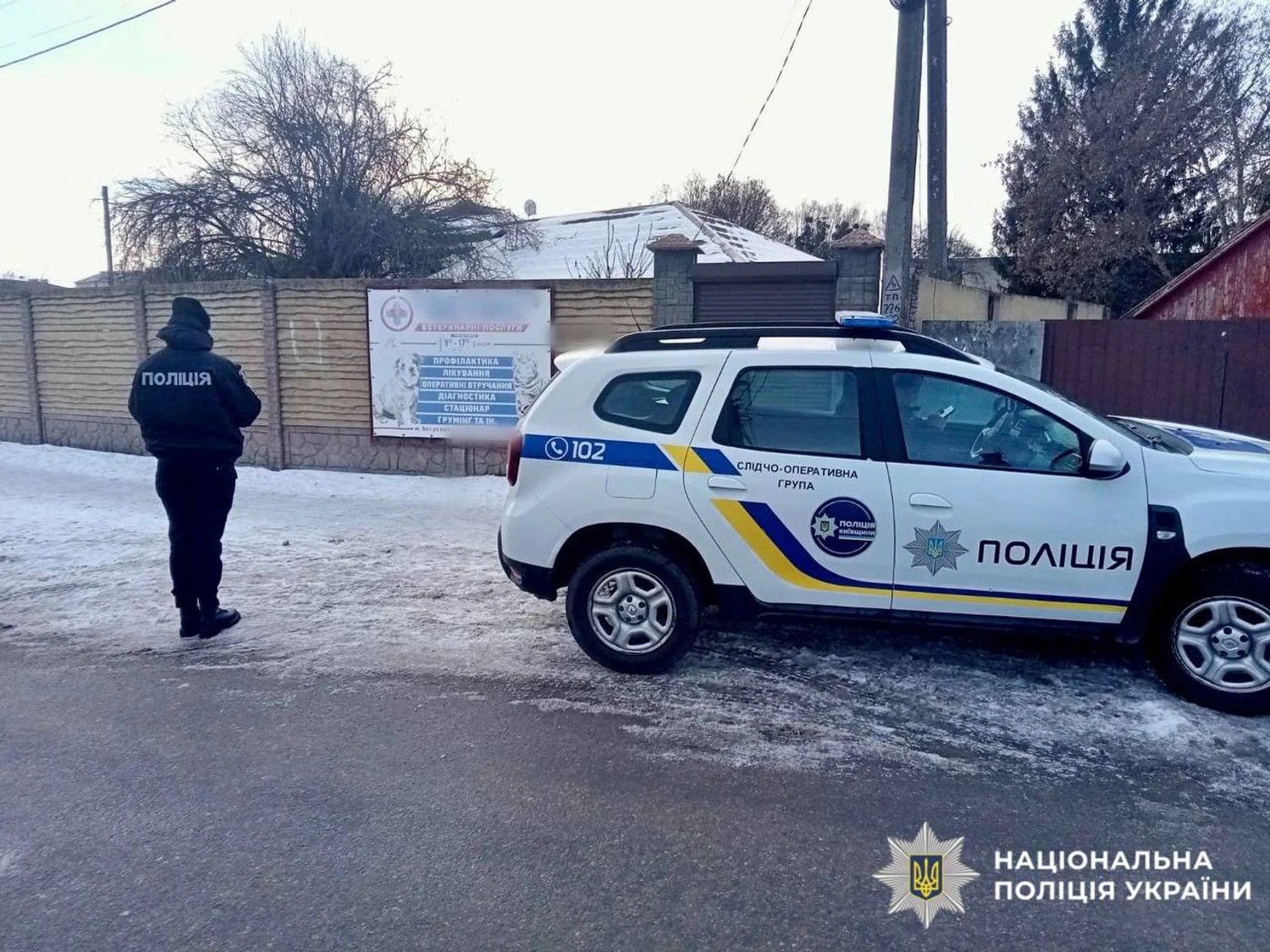 18-річна дівчина на Київщині кинула кошеня об стіну, знімаючи це на телефон, розпочато розслідування - поліція