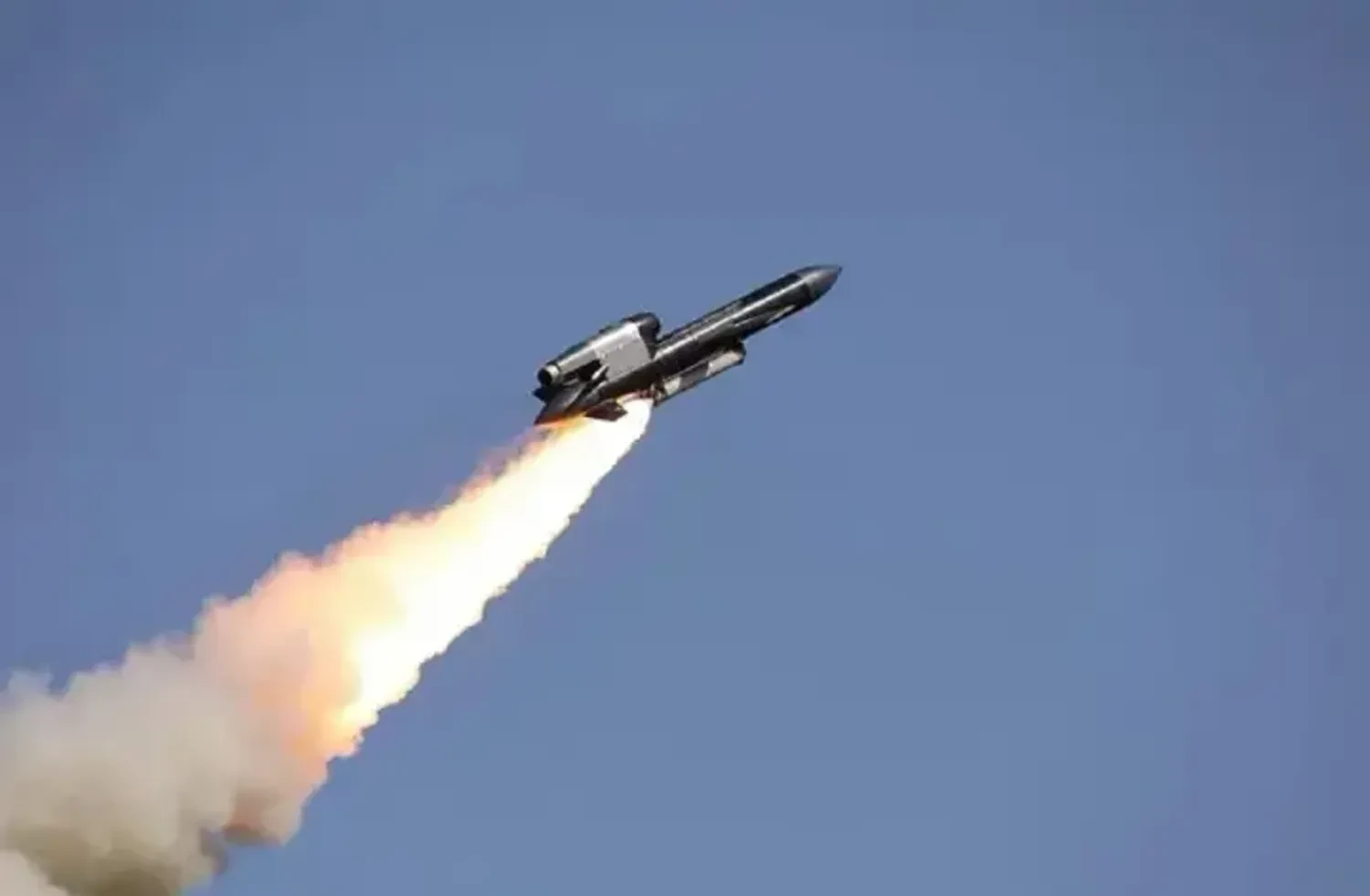 Україна має небагато ракет “Фламінго”, адже росіянам вдалося уразити одну з виробничих ліній - Зеленський