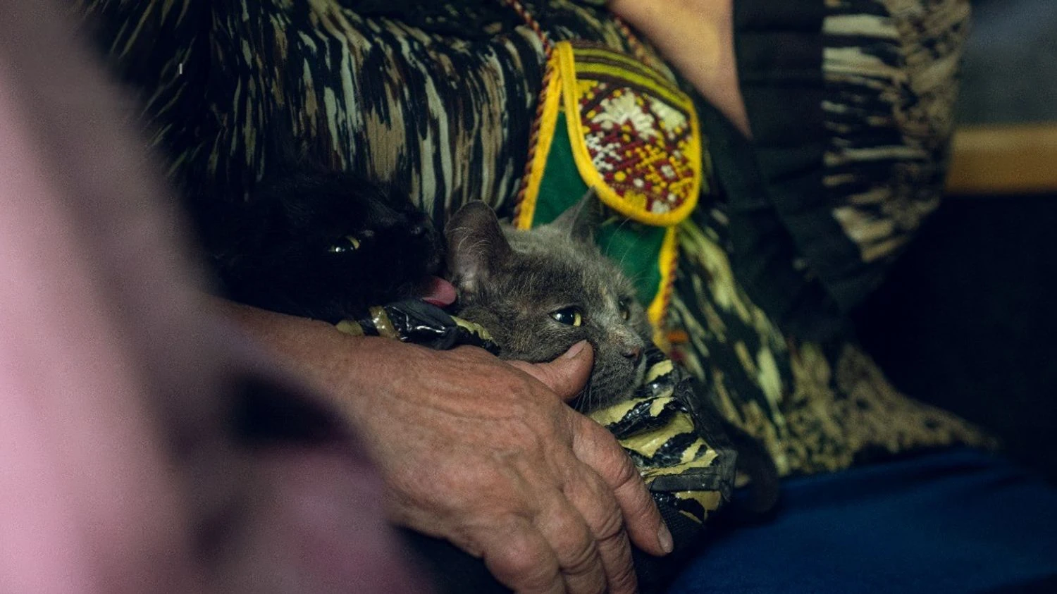 Понад 130 тис. українців евакуйовано за рік, житло потрібне 4,6 млн переселенців - віцепрем'єр