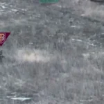 Десантники 77-ї бригади ДШВ показали ліквідацію групи окупантів біля Загризового на Куп’янському напрямку