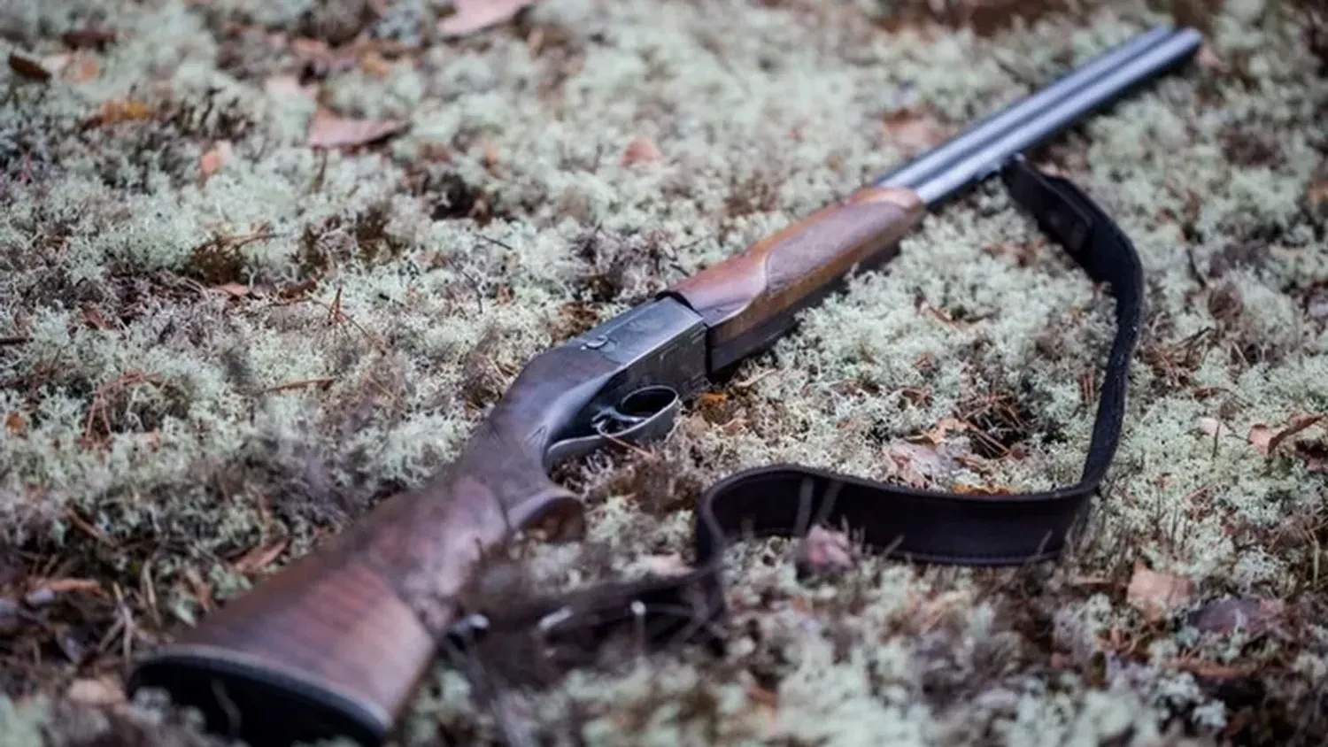 Старосту села на Миколаївщині затримали за стрілянину у помічницю, жінка загинула - поліція