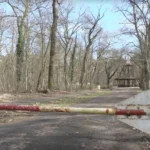 У лісі в Німеччині знайшли тіло 19-річної українки – ЗМІ