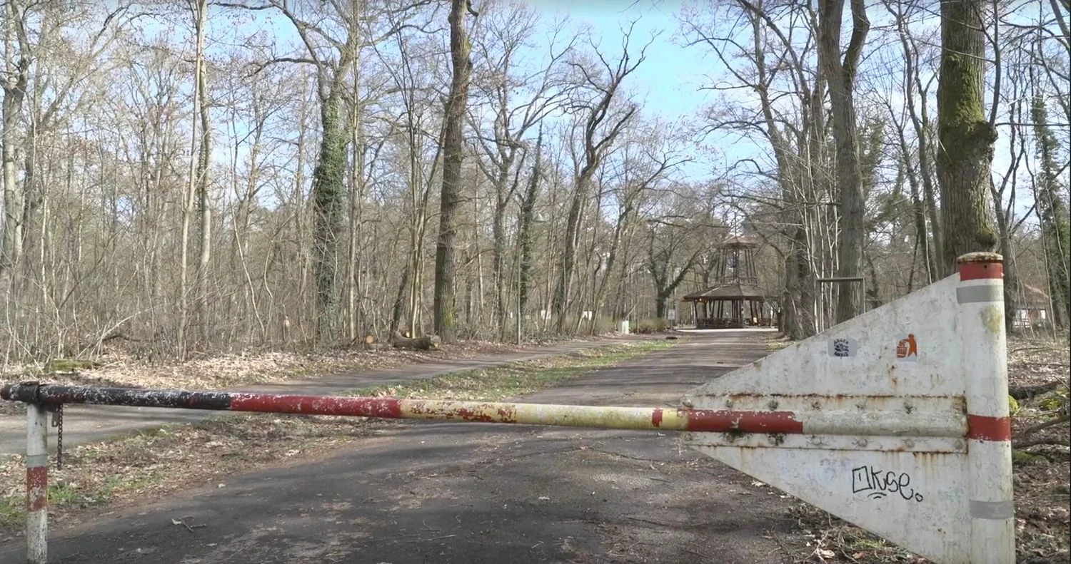 У лісі в Німеччині знайшли тіло 19-річної українки - ЗМІ