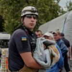 Надзвичайники врятували рудого котика з опіками після атаки рф у ВишневомуРятівники знайшли рудого кота у зруйнованому будинку у Вишневому, він мав опіки вух, лап та очей. Господарі знайшлися, тварину
відвезли до клініки, лікування організував Червоний Хрест.Суспільство • 8 липня, 10:56 • 2940 перегляди