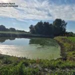 Під Києвом 13-річна дівчинка потонула у штучній водоймі, намагаючись дістати м’яч