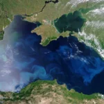 Індія шукає заміну соняшниковій олії через перебої з поставками з Чорного моряІндія нарощує імпорт пальмової, соєвої та ріпакової олії через затримки експорту соняшникової олії з росії та України. Ціни на
соняшникову олію в країні зросли на 6% через перебої з постачанням.Економіка • 30 липня, 04:58 • 4494 перегляди