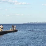росія масово застосовує дешеві ракети “Бандероль” для ударів по портах Одеси – Bloomberg